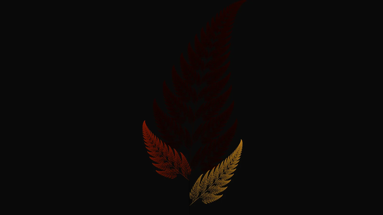 Barnsley Fern